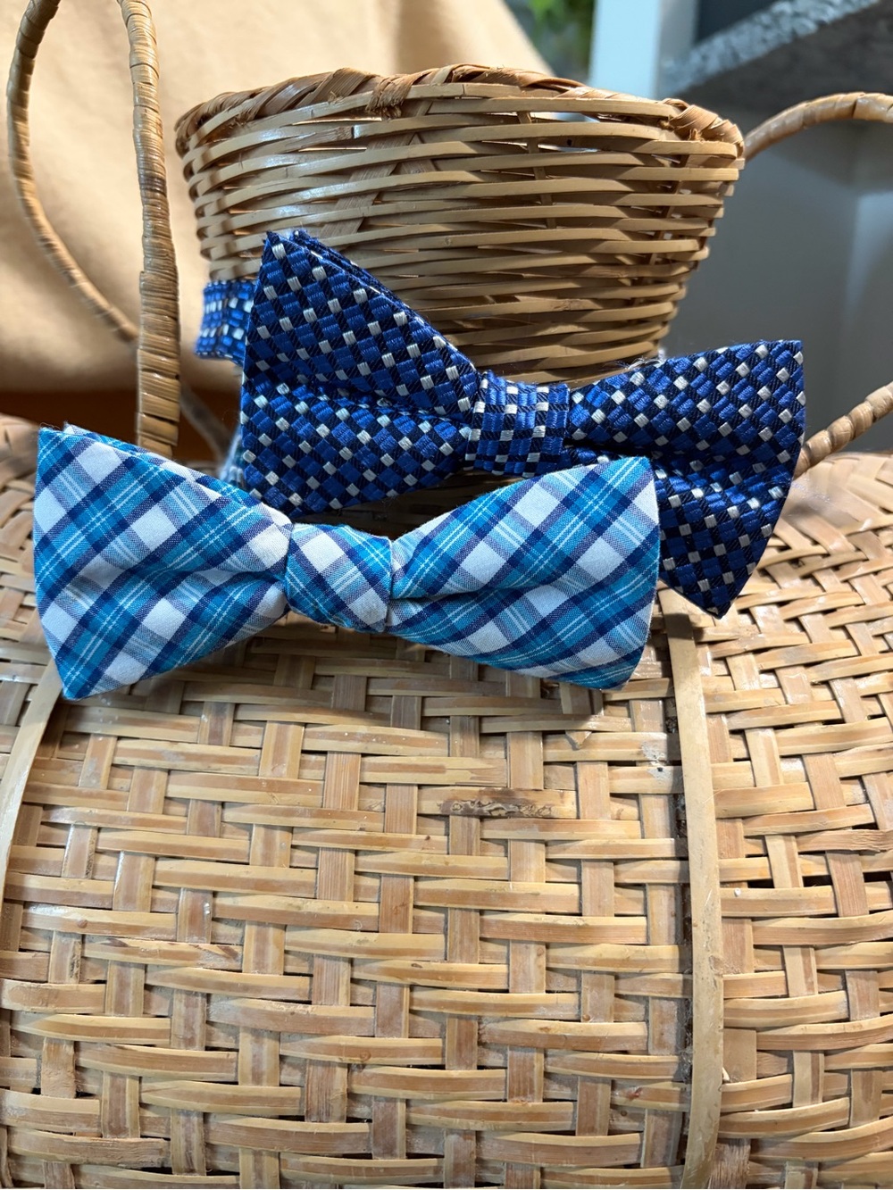 Blue Patterned Bow Tie Duo